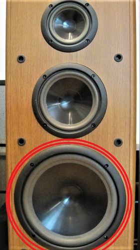 Foam Infinity Reference 6 woofer