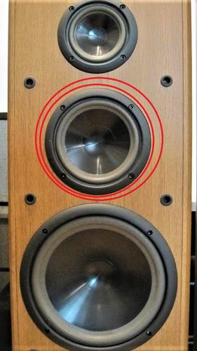 Suspension Infinity Reference 6 Medio-woofer
